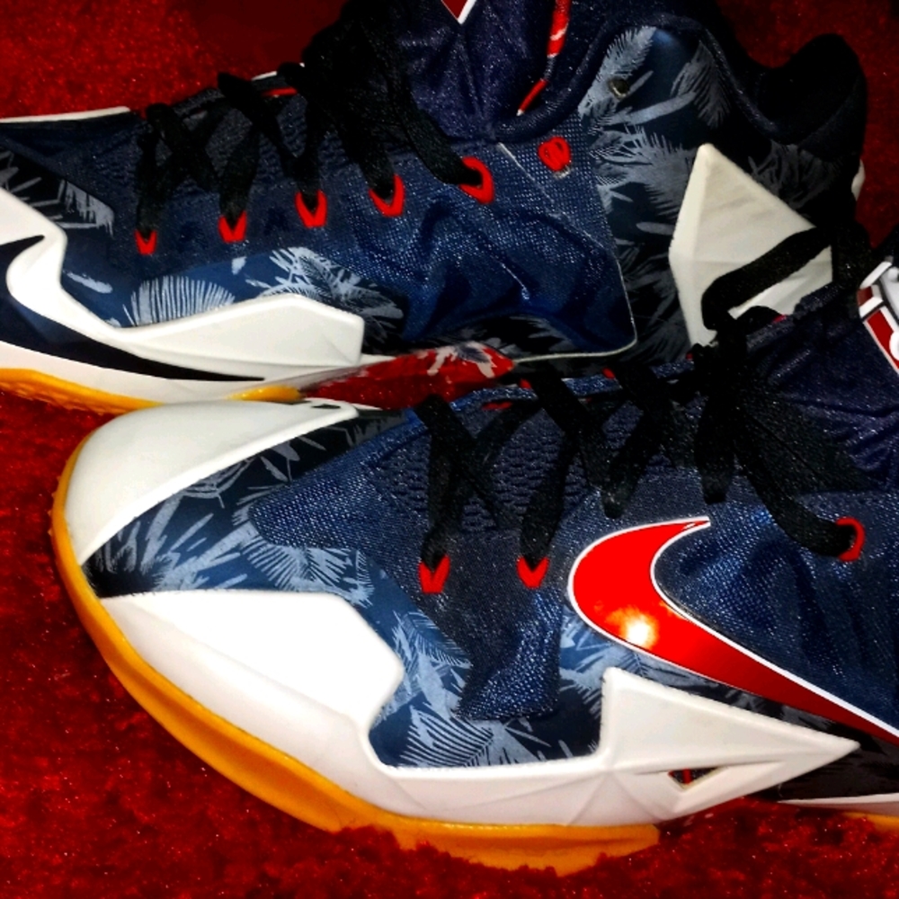 PAIR Of Nike  Lebron James